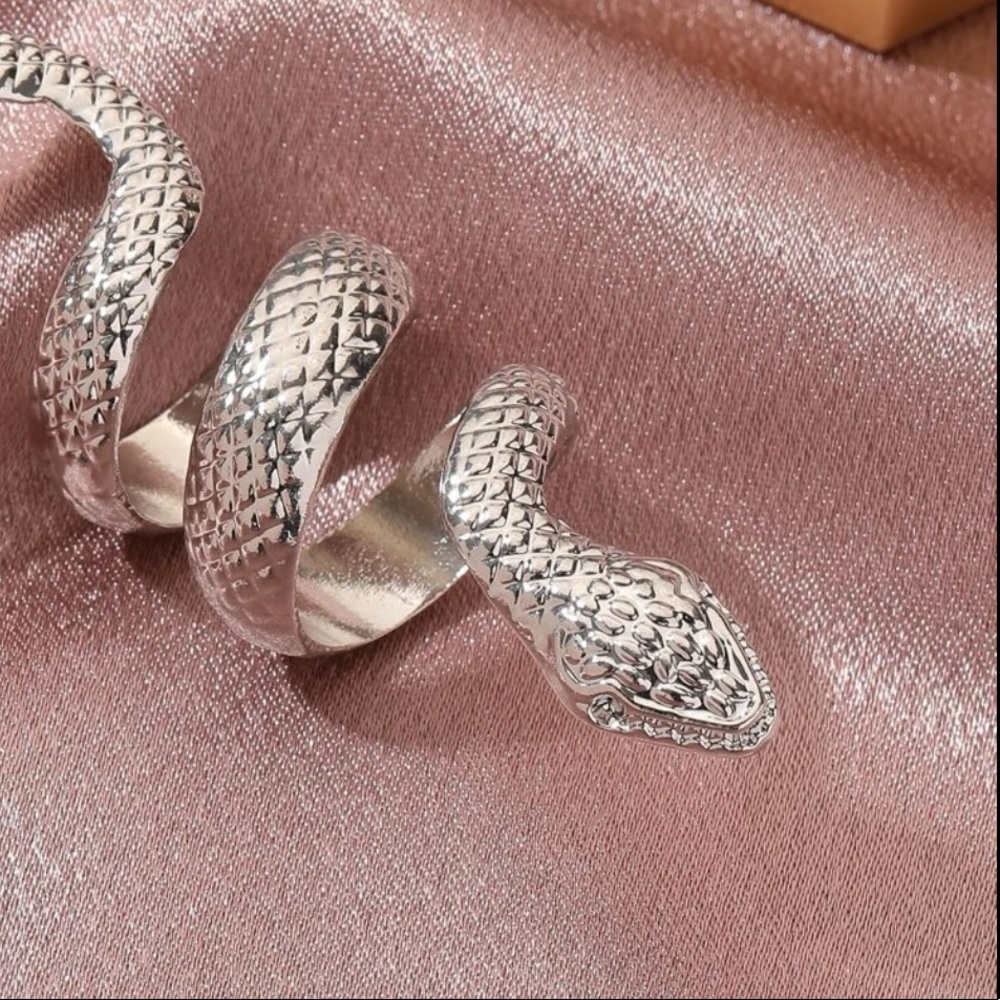Silver Snake Wrap Ring - Picture 4 of 4
